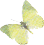 butterfly_pale-A.gif (2046 bytes)