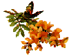 flowering_bough-A.gif (4571 bytes)