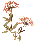 wildflower-A.gif (1396 bytes)